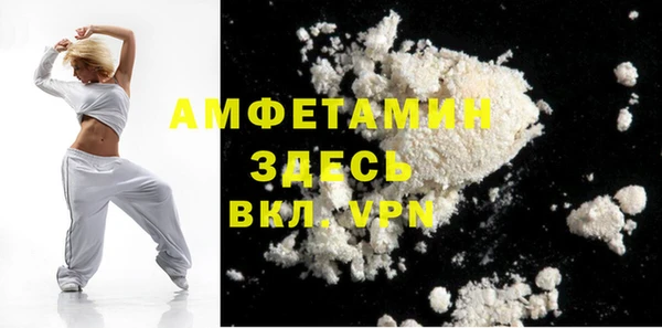 стаф Алексин